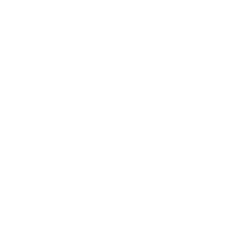 Net Results Consults